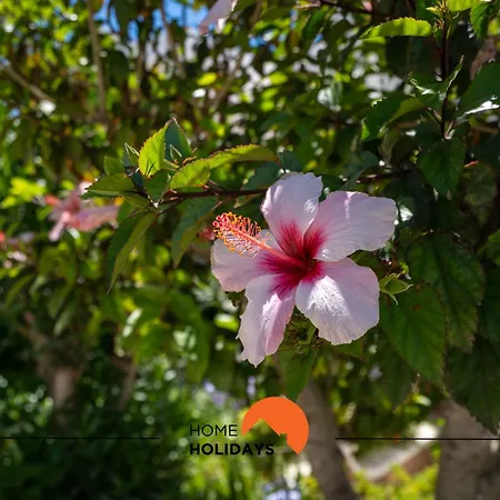 #232 Girasol Pool&garden Albufeira