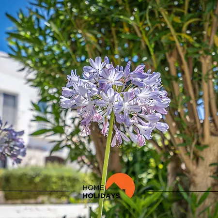 וילה #232 Girasol 33 By Holidays