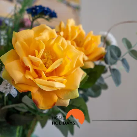 #232 Girasol 33 By Holidays וילה אלבופיירה