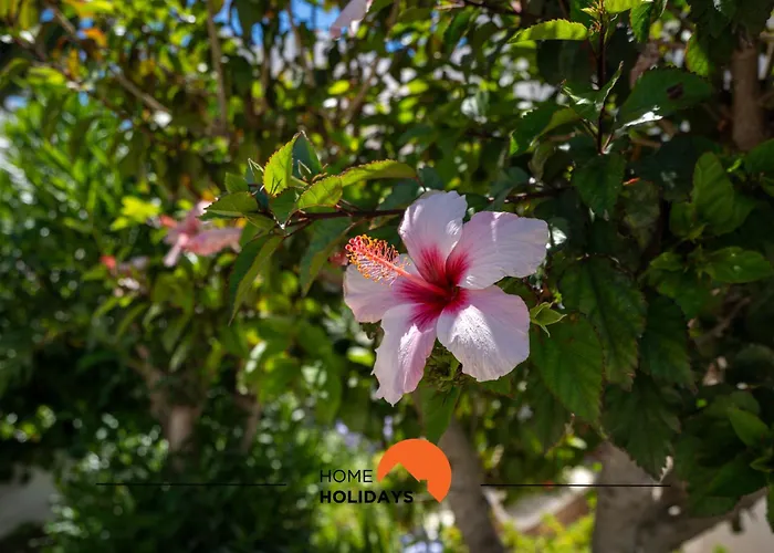 #232 Girasol 33 By Holidays Albufeira